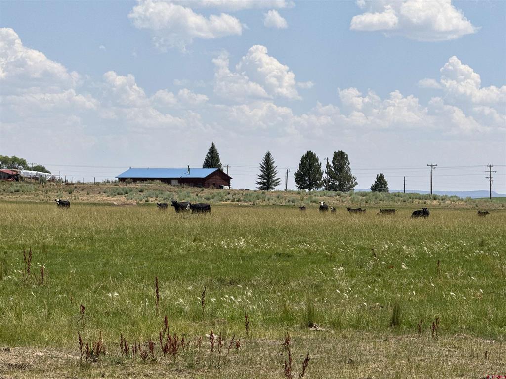 Tbd Highway 172 Ignacio CO 81137