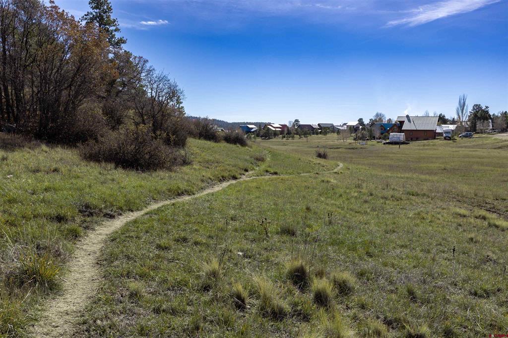 129 Snow Circle Pagosa Springs CO 81147