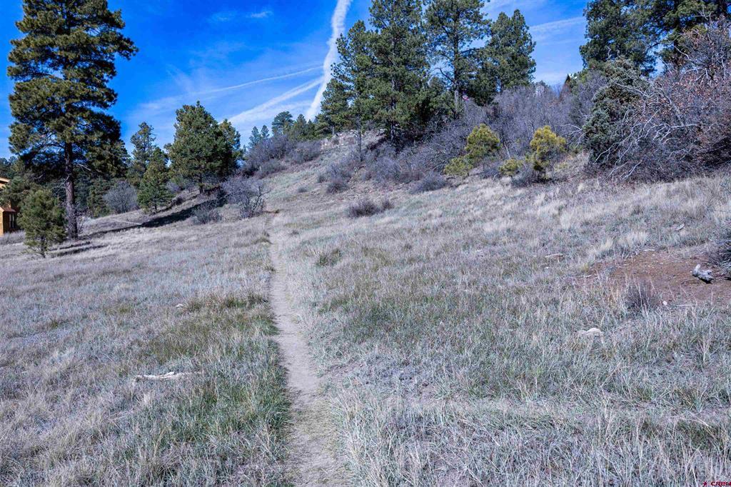 129 Snow Circle Pagosa Springs CO 81147