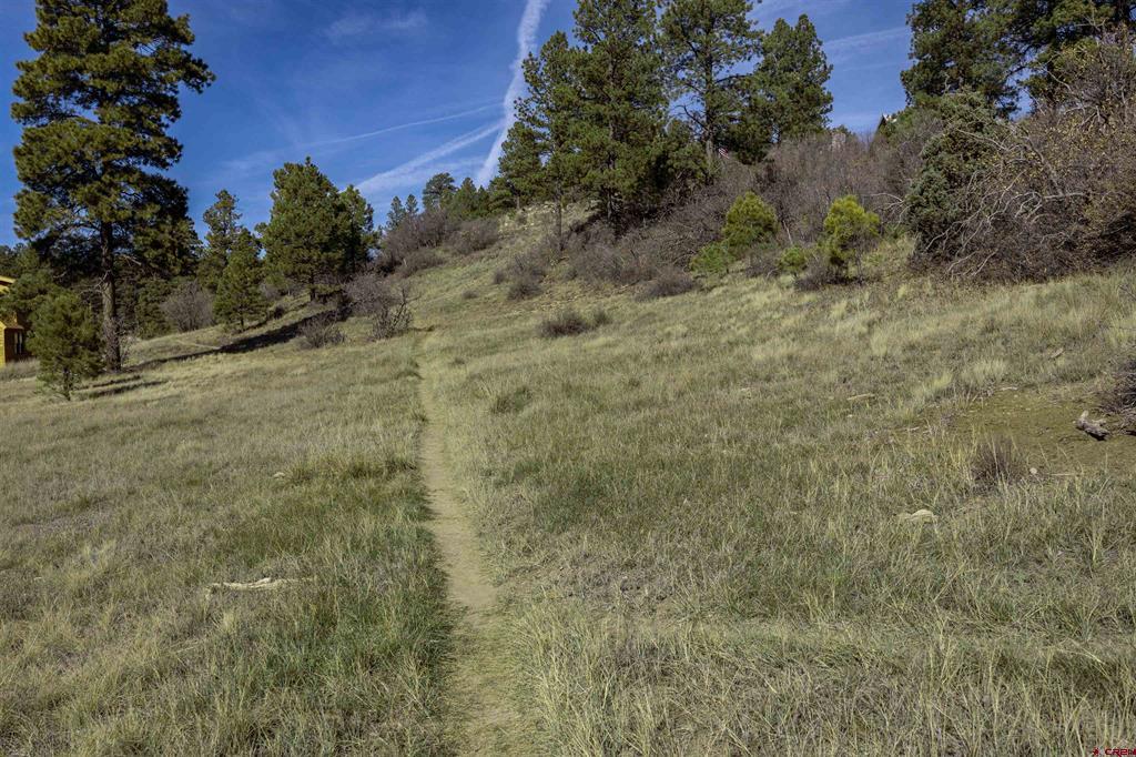129 Snow Circle Pagosa Springs CO 81147