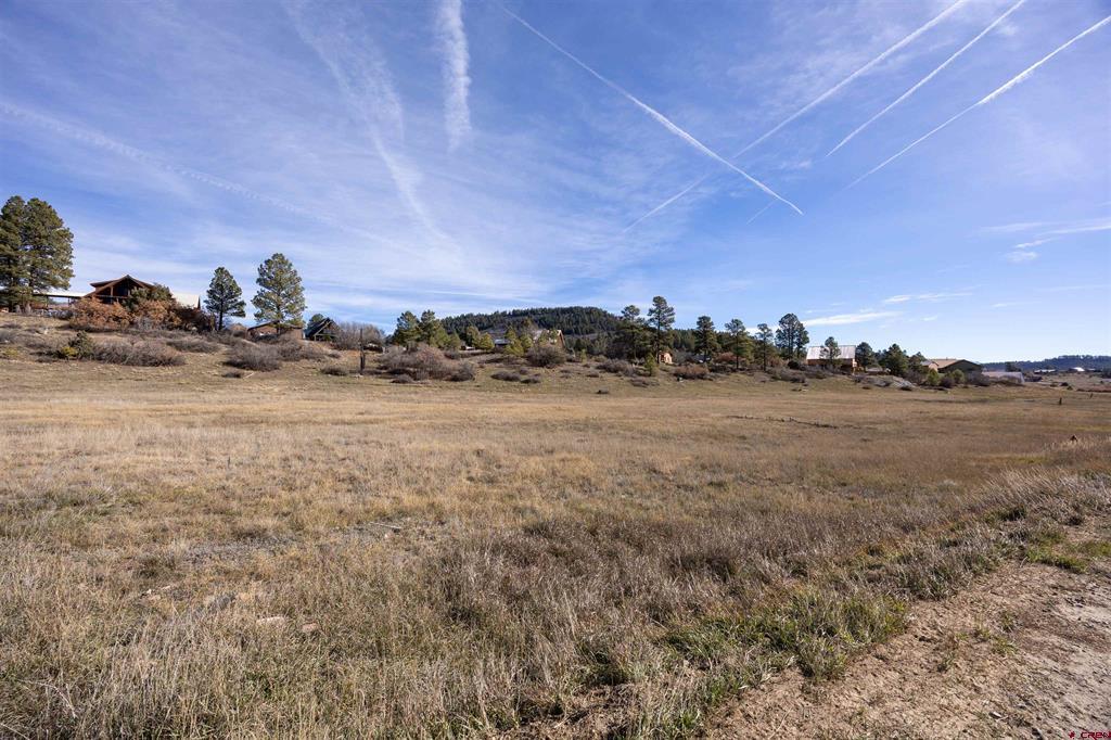 129 Snow Circle Pagosa Springs CO 81147