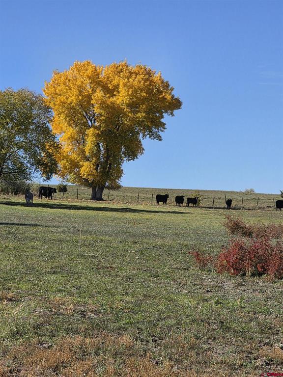 Tbd 6100 Montrose CO 81403