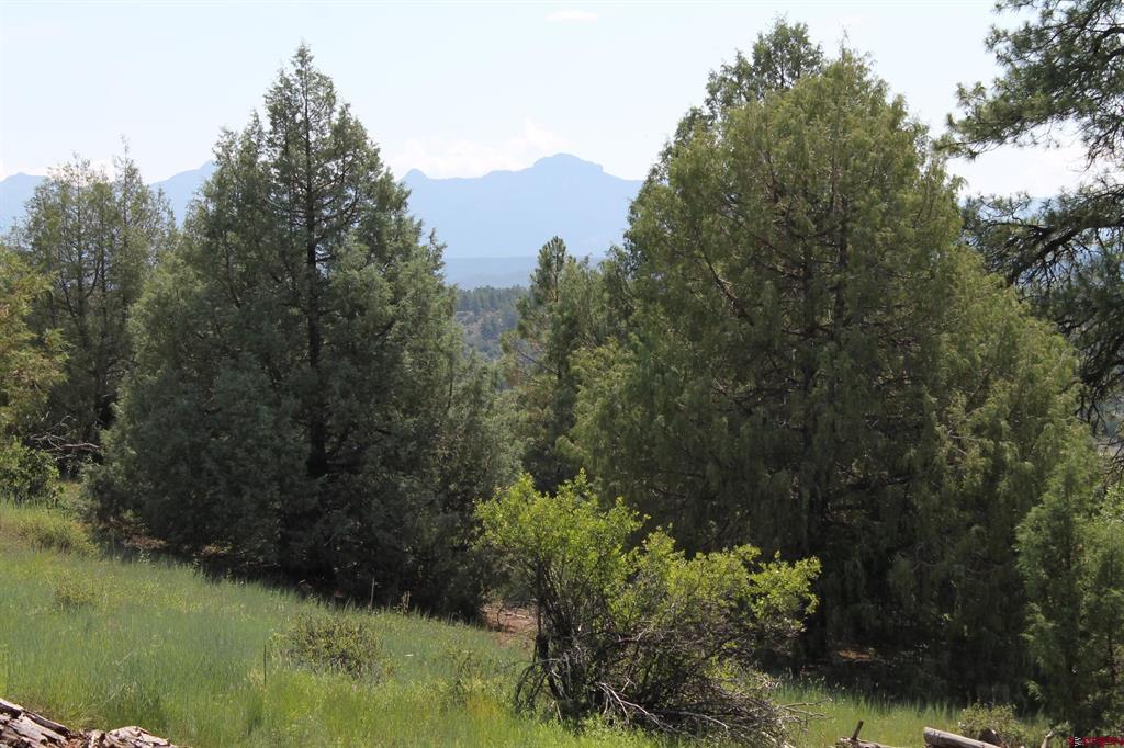 600 Engleman Place Pagosa Springs CO 81147