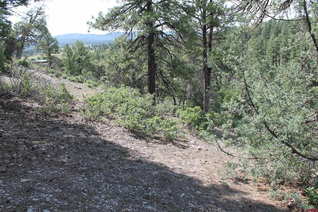 600 Engleman Place Pagosa Springs CO 81147