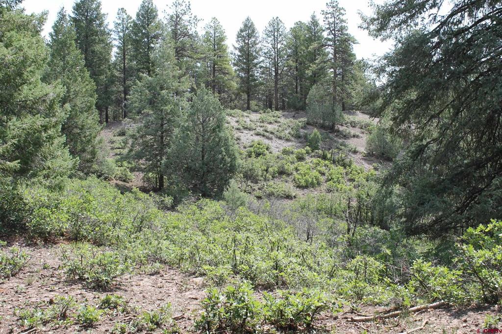 600 Engleman Place Pagosa Springs CO 81147