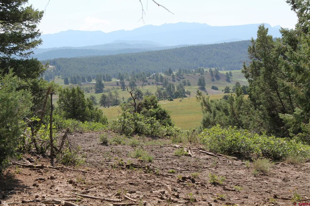 600 Engleman Place Pagosa Springs CO 81147