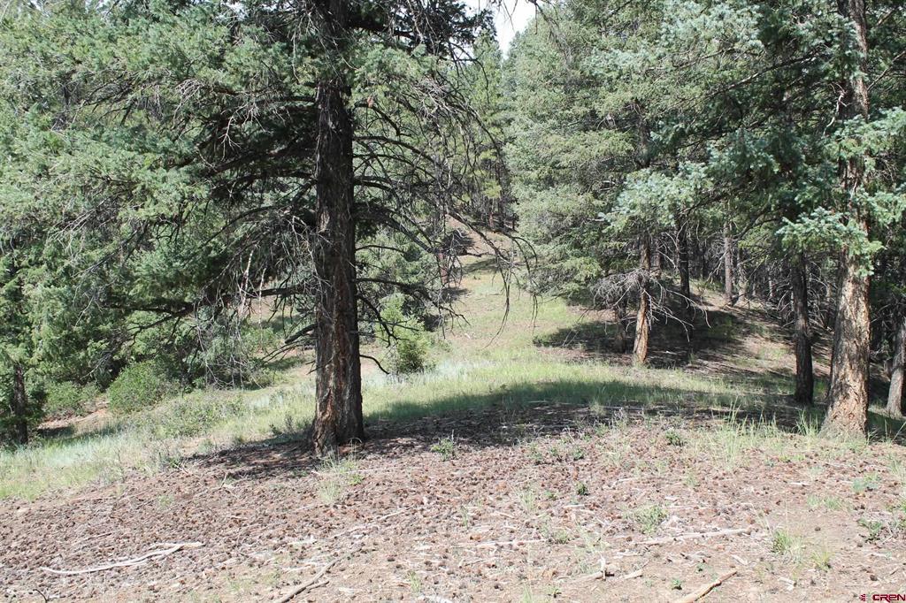 600 Engleman Place Pagosa Springs CO 81147