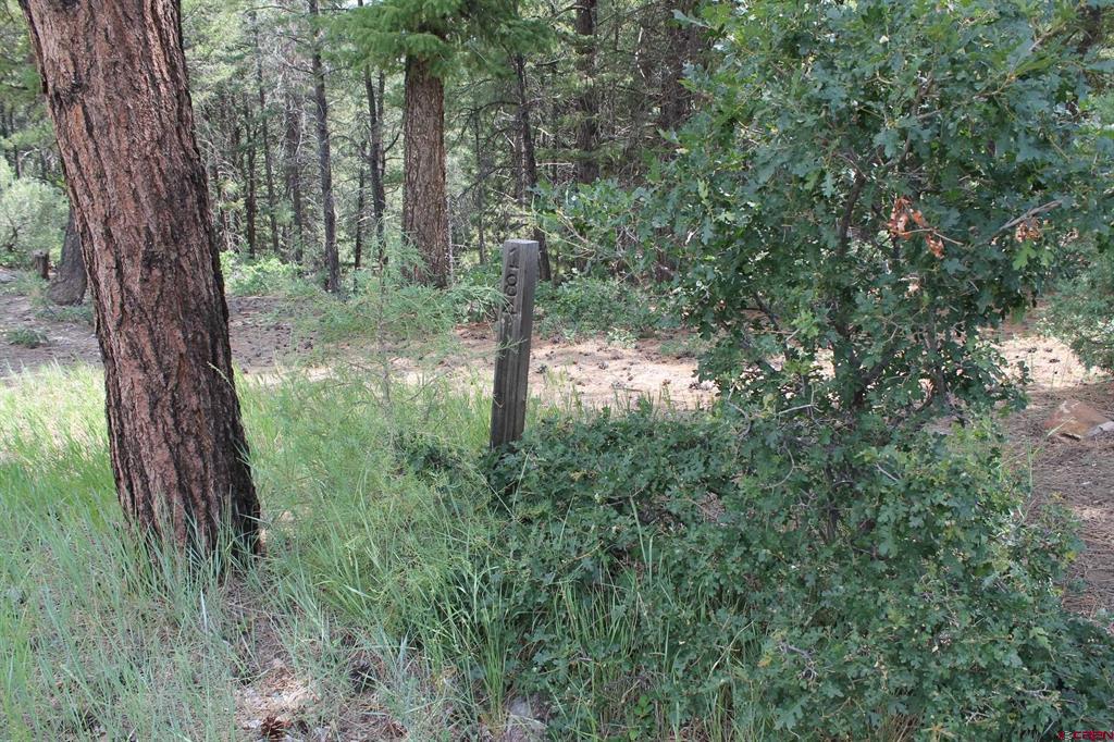 600 Engleman Place Pagosa Springs CO 81147