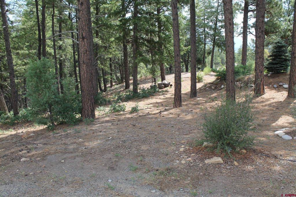 600 Engleman Place Pagosa Springs CO 81147