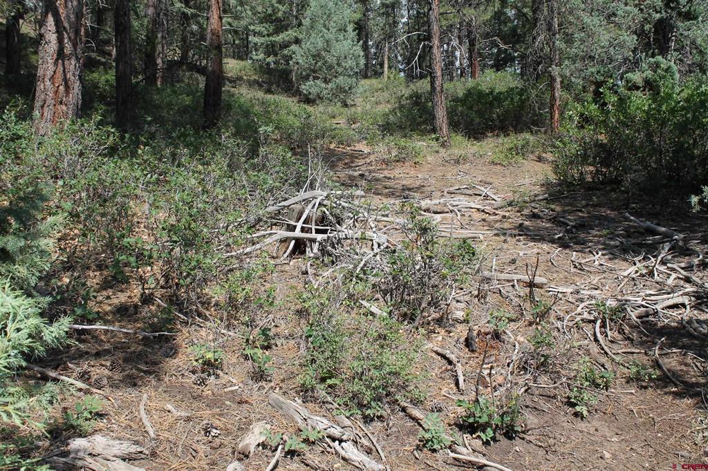 600 Engleman Place Pagosa Springs CO 81147