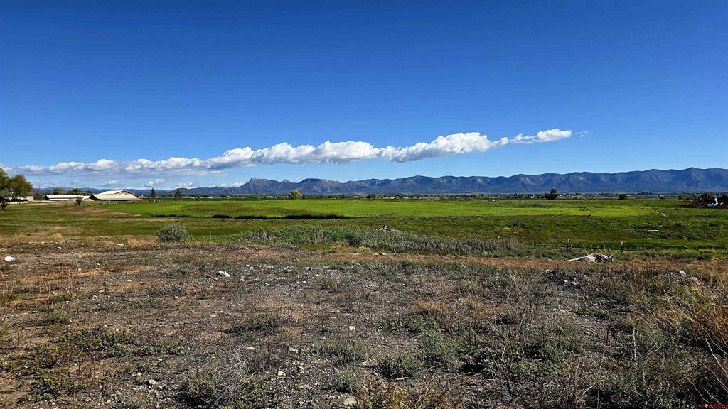 Tbd Road N Cortez CO 81321