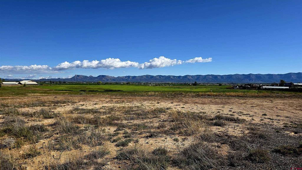 Tbd Road N Cortez CO 81321