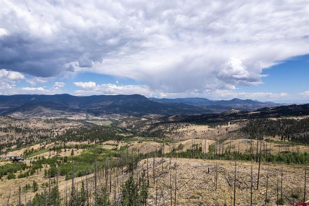 535 Elk Court South Fork CO 81154