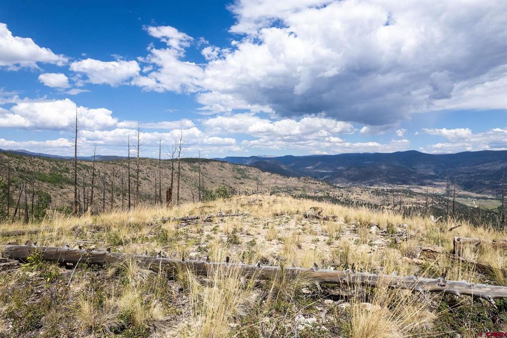 535 Elk Court South Fork CO 81154