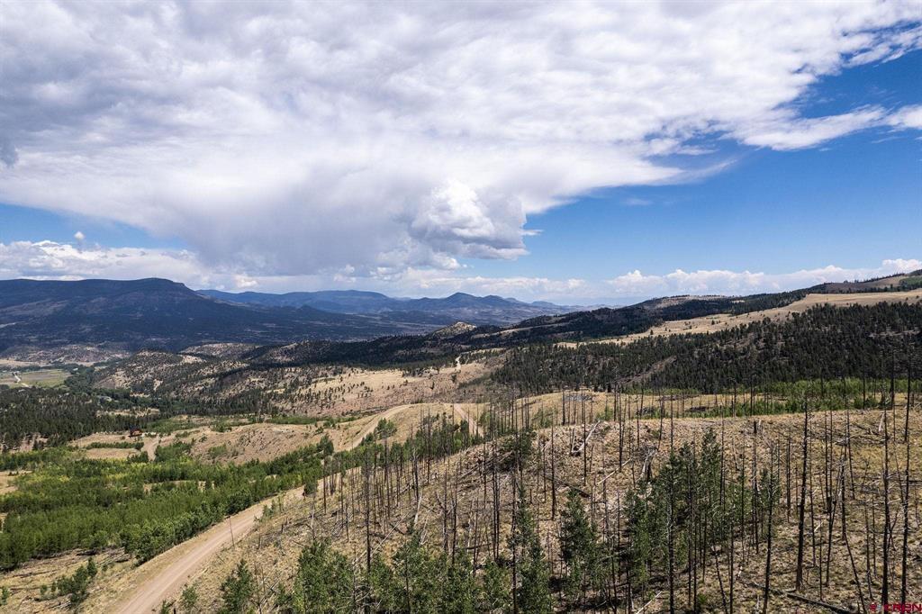 535 Elk Court South Fork CO 81154