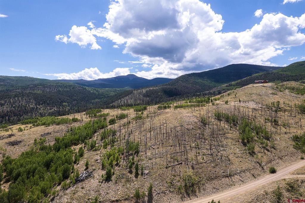 535 Elk Court South Fork CO 81154