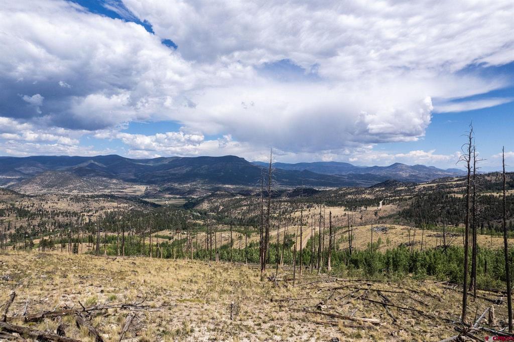 535 Elk Court South Fork CO 81154