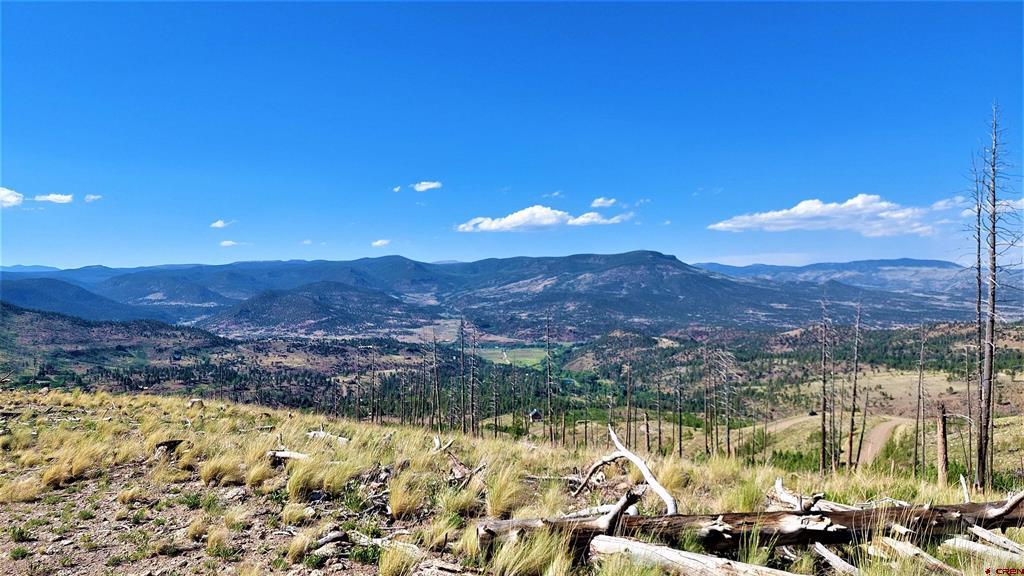 535 Elk Court South Fork CO 81154