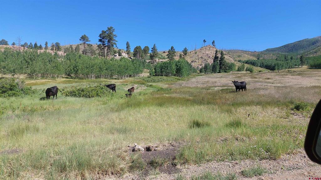 535 Elk Court South Fork CO 81154