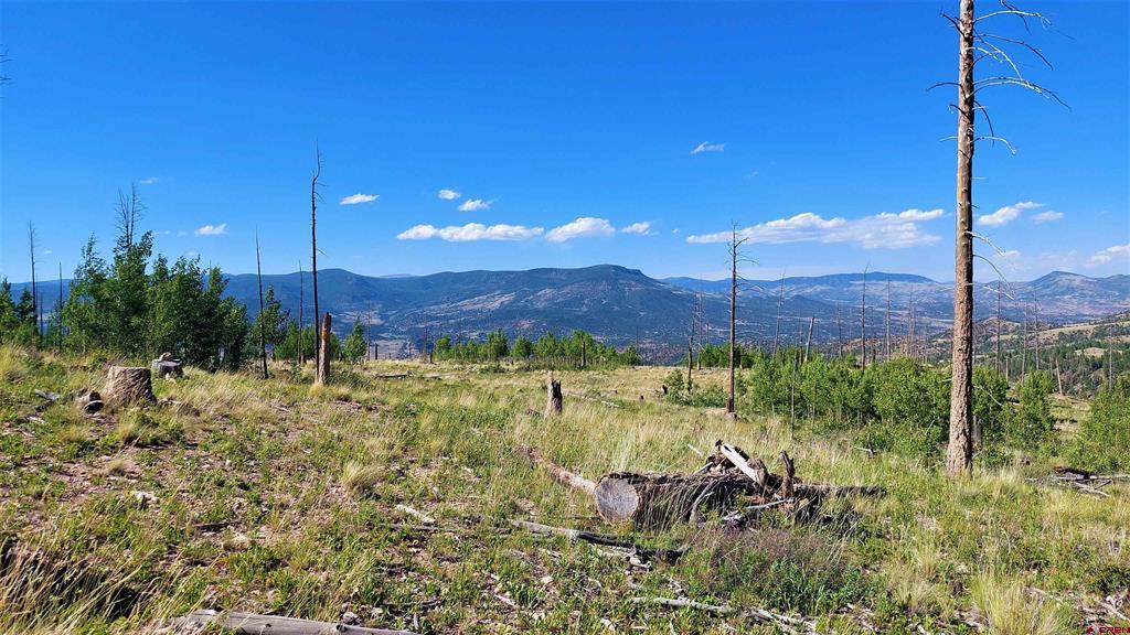 535 Elk Court South Fork CO 81154