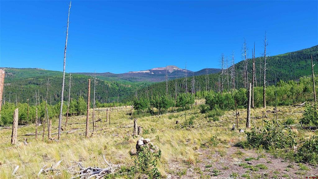535 Elk Court South Fork CO 81154