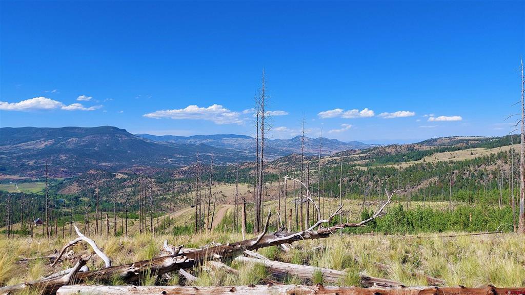 535 Elk Court South Fork CO 81154