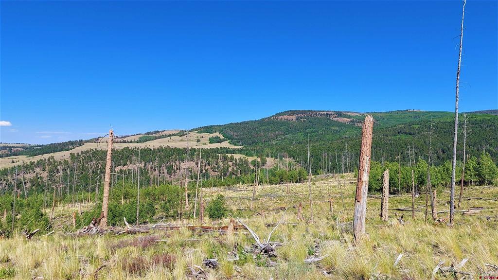 535 Elk Court South Fork CO 81154