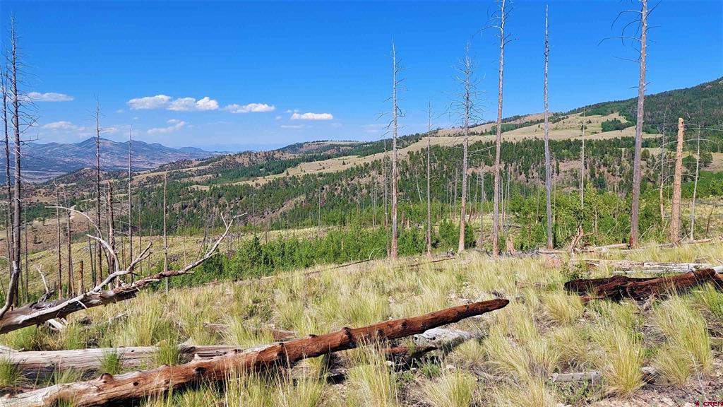535 Elk Court South Fork CO 81154