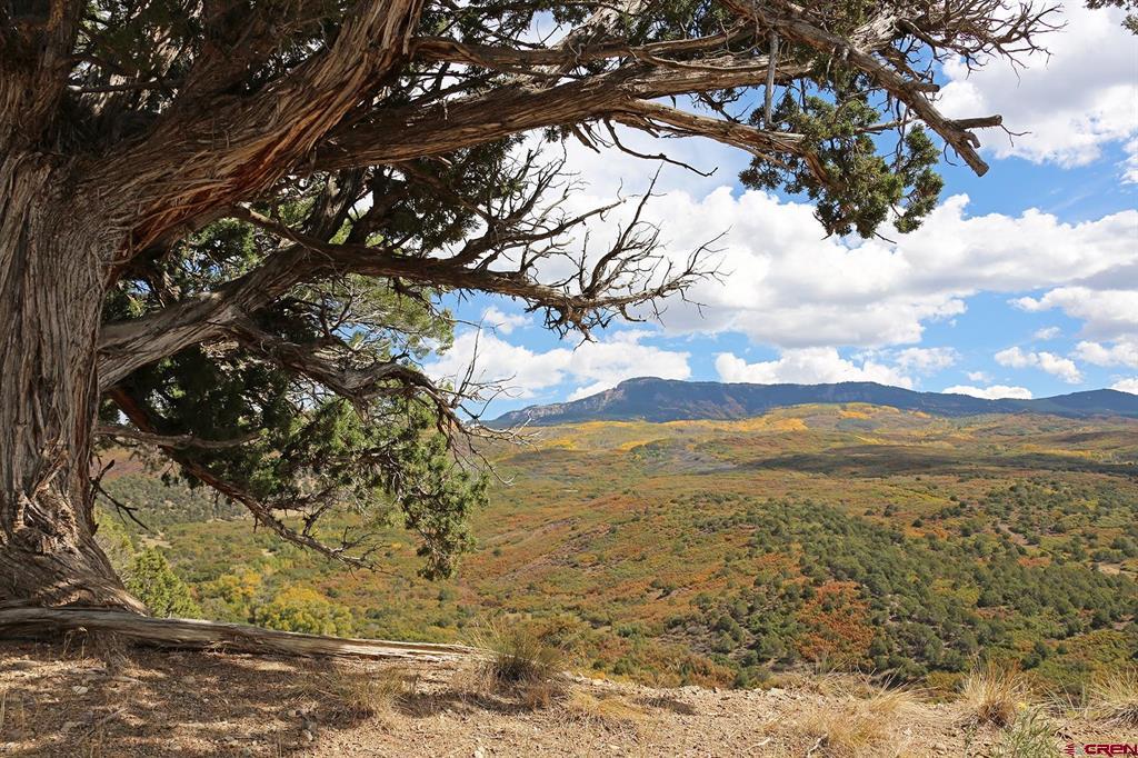 Tbd Buckhorn Road Montrose CO 81403