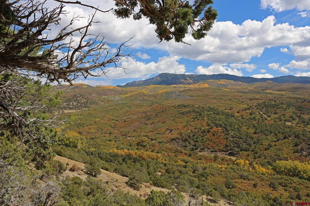 Tbd Buckhorn Road Montrose CO 81403