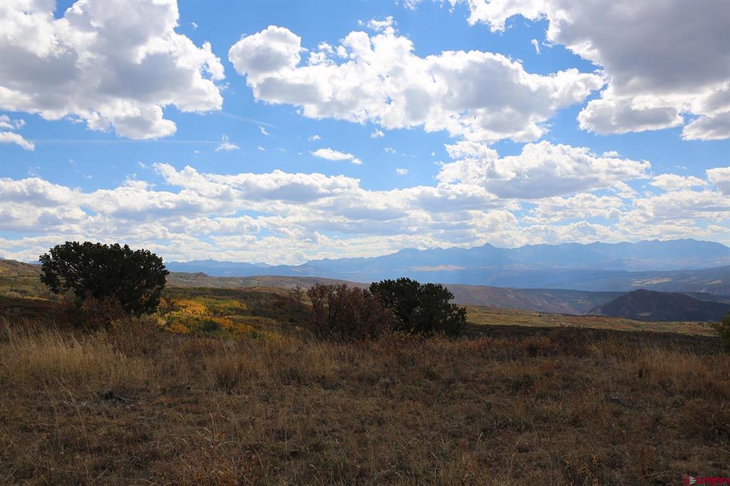 Tbd Buckhorn Road Montrose CO 81403