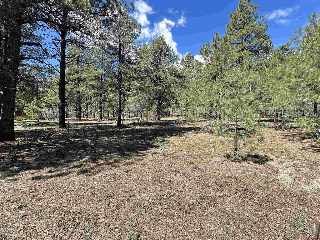 39 W Nebo Court Pagosa Springs CO 81147