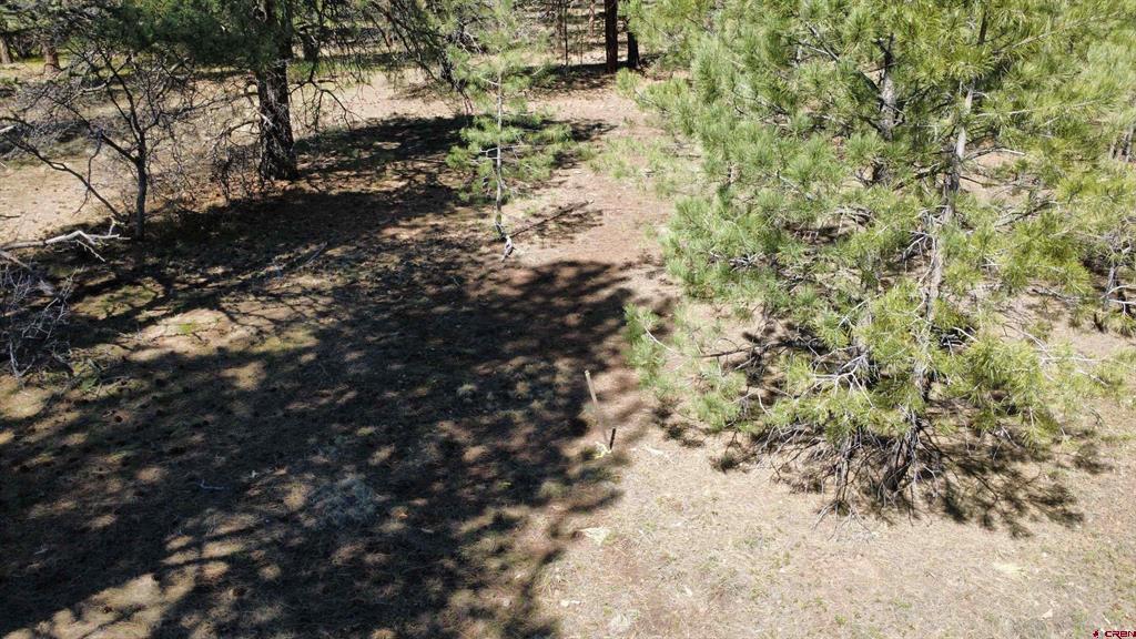 39 W Nebo Court Pagosa Springs CO 81147