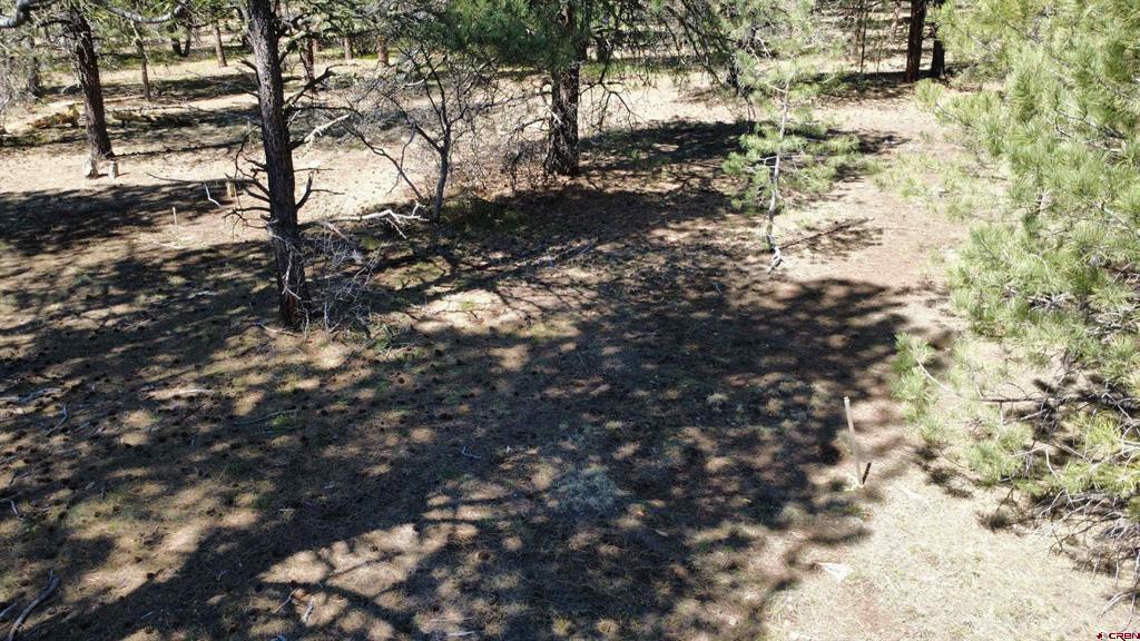 39 W Nebo Court Pagosa Springs CO 81147