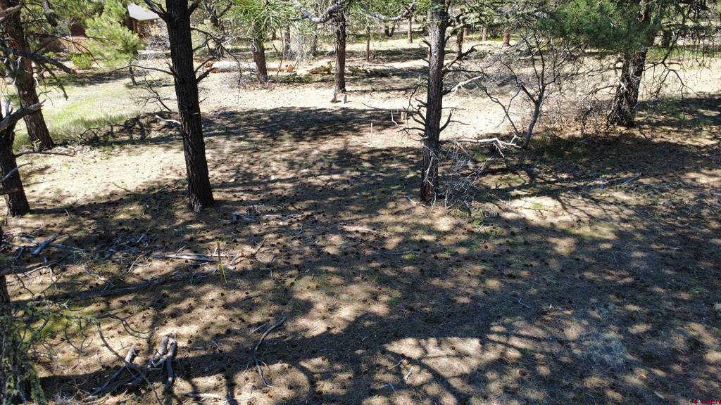 39 W Nebo Court Pagosa Springs CO 81147