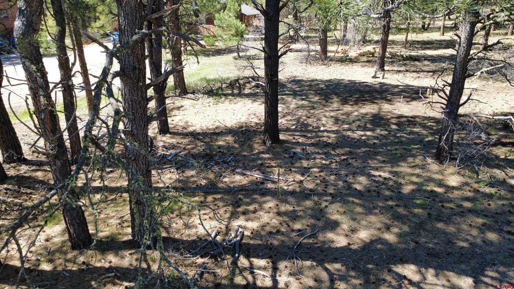39 W Nebo Court Pagosa Springs CO 81147