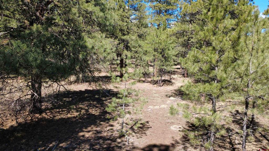 39 W Nebo Court Pagosa Springs CO 81147