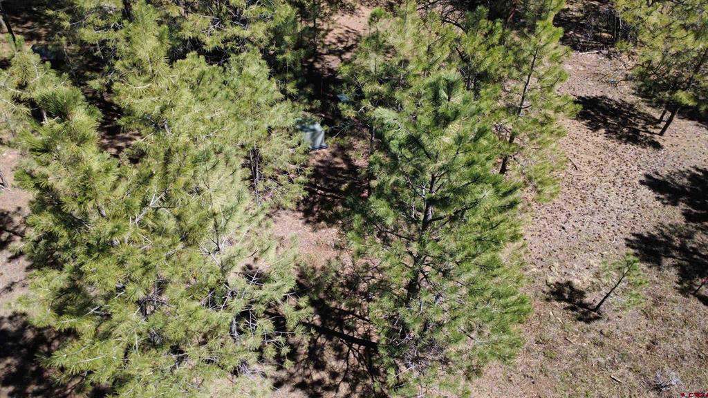 39 W Nebo Court Pagosa Springs CO 81147