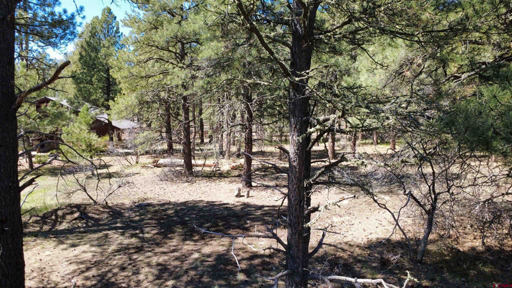 39 W Nebo Court Pagosa Springs CO 81147