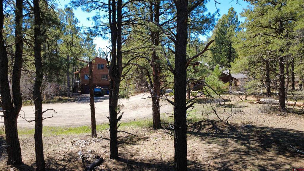 39 W Nebo Court Pagosa Springs CO 81147