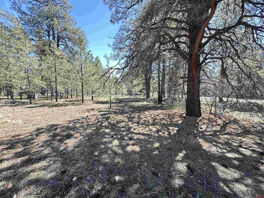 39 W Nebo Court Pagosa Springs CO 81147