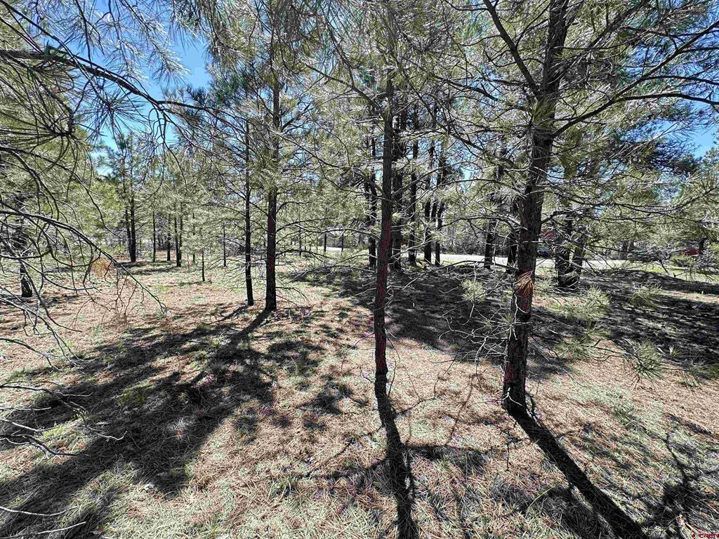 39 W Nebo Court Pagosa Springs CO 81147