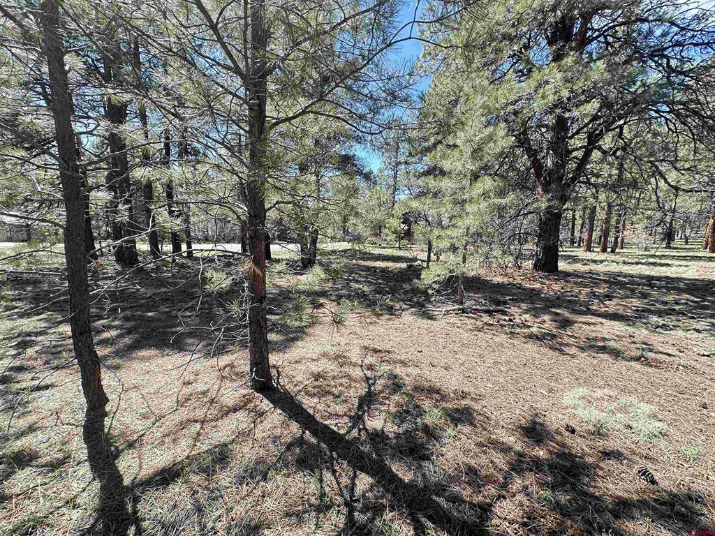 39 W Nebo Court Pagosa Springs CO 81147