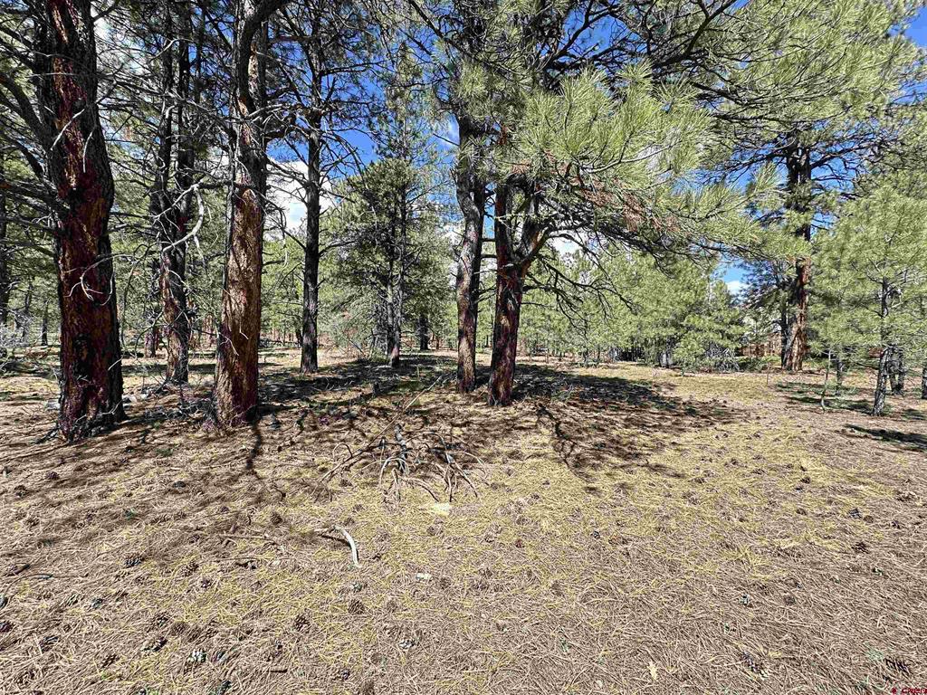39 W Nebo Court Pagosa Springs CO 81147