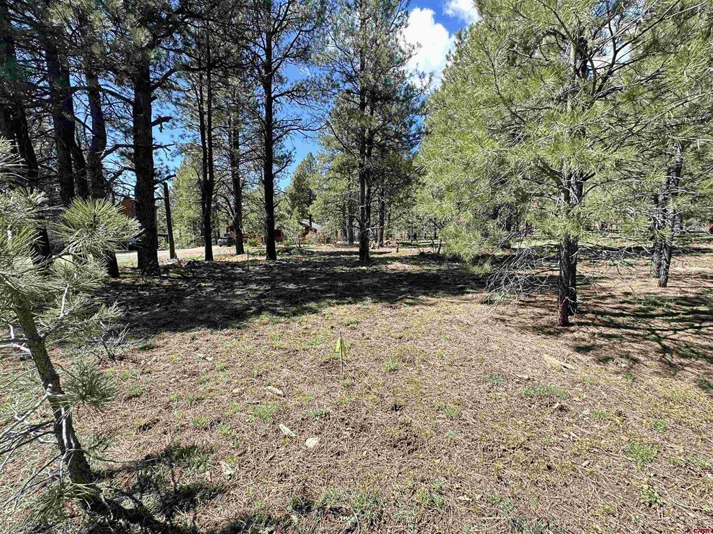 39 W Nebo Court Pagosa Springs CO 81147