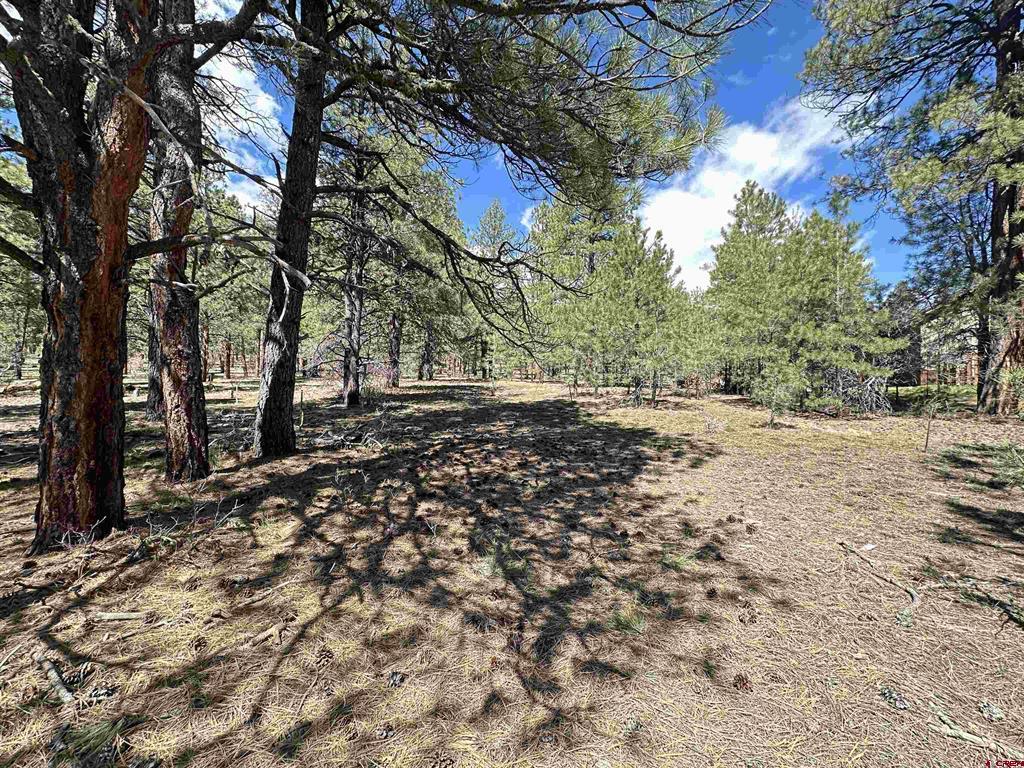 39 W Nebo Court Pagosa Springs CO 81147
