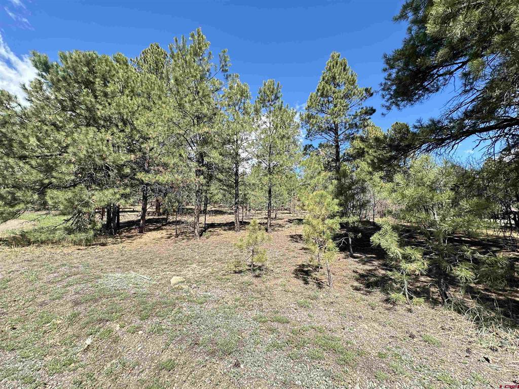 39 W Nebo Court Pagosa Springs CO 81147