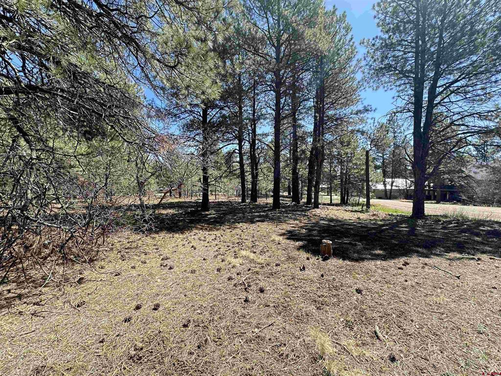 39 W Nebo Court Pagosa Springs CO 81147