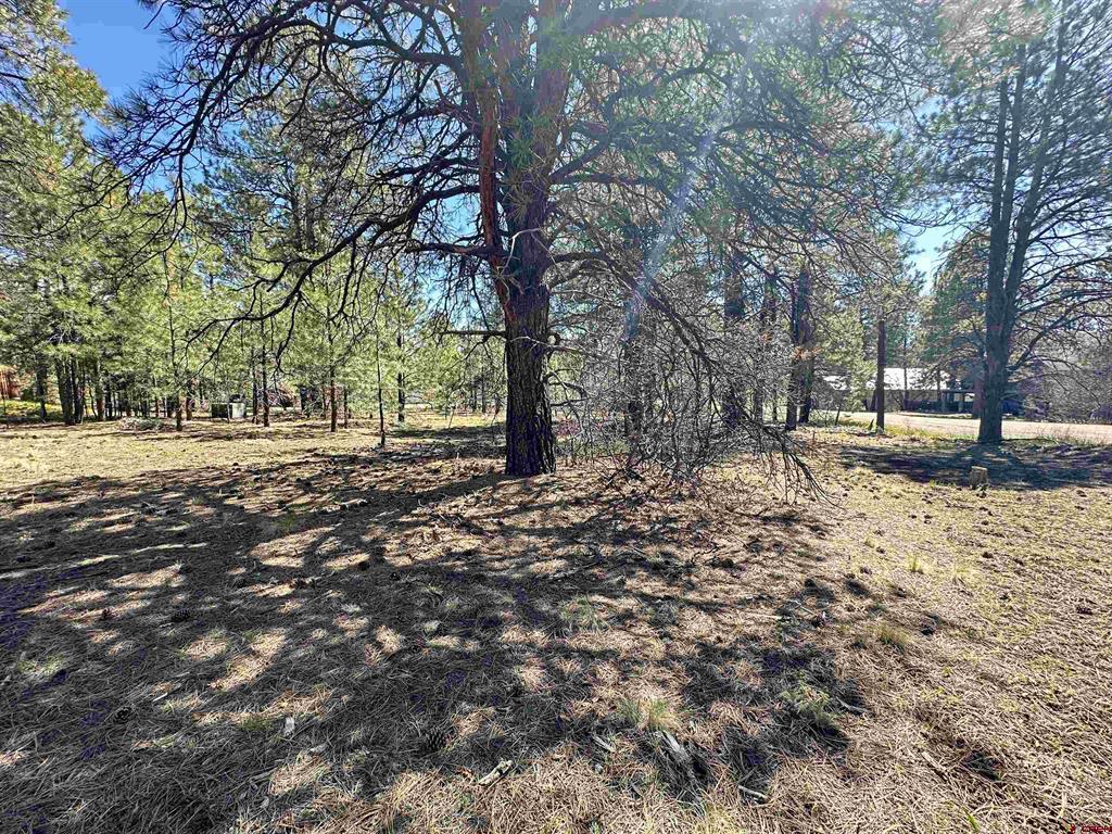 39 W Nebo Court Pagosa Springs CO 81147