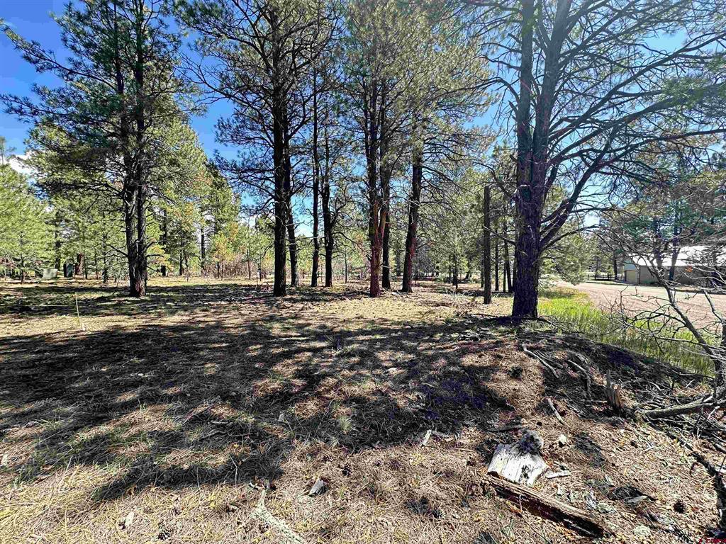39 W Nebo Court Pagosa Springs CO 81147